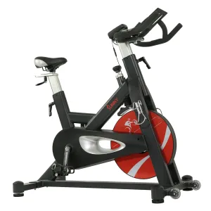 Evolution Pro II Magnetic Indoor Cycle Exercise Bike