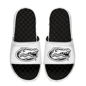 Florida Gators Cookies & Cream