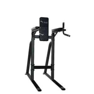 Inflight Fitness Vertical Knee Raise/Dip Unit