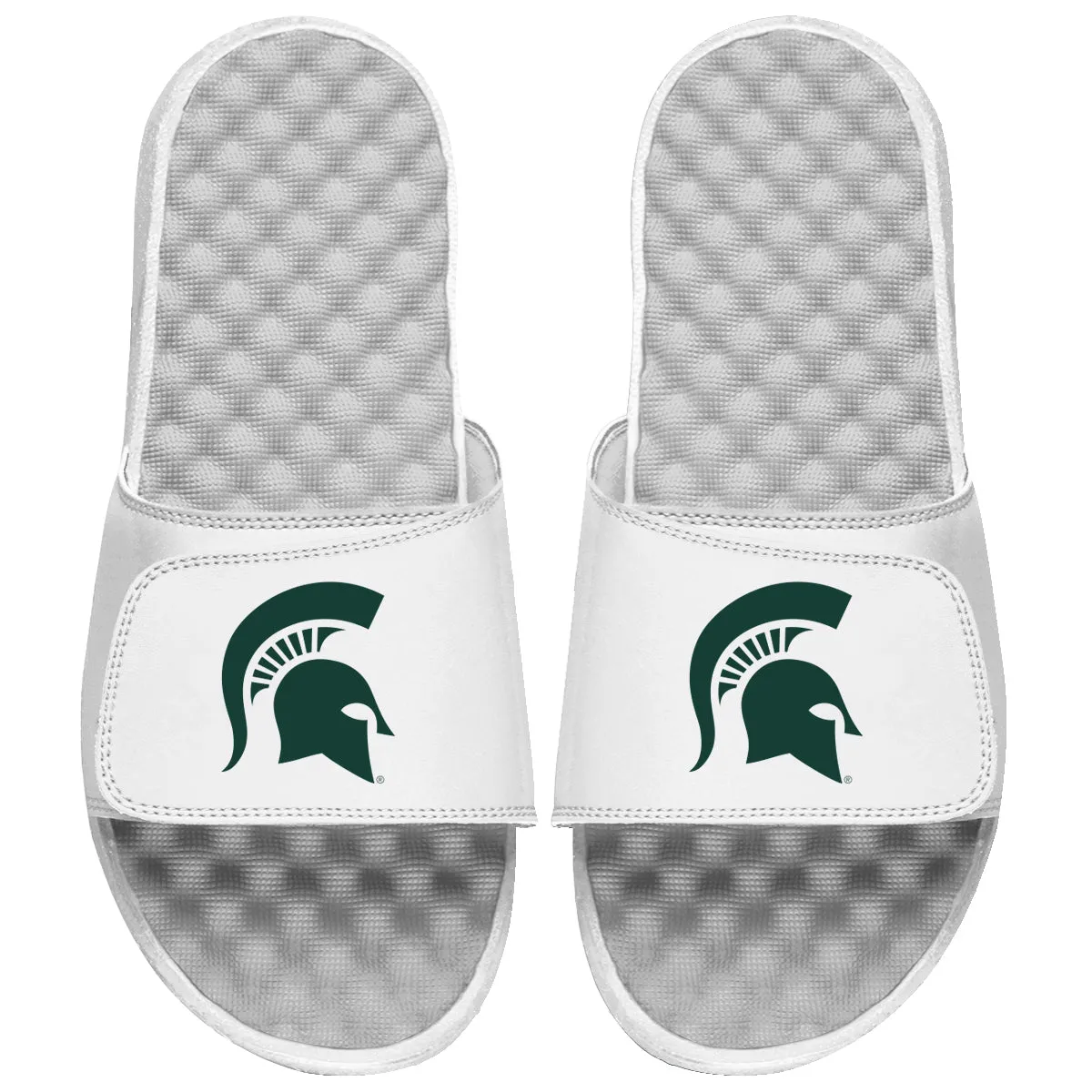 Michigan State Prime Logo Slides