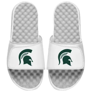 Michigan State Prime Logo Slides