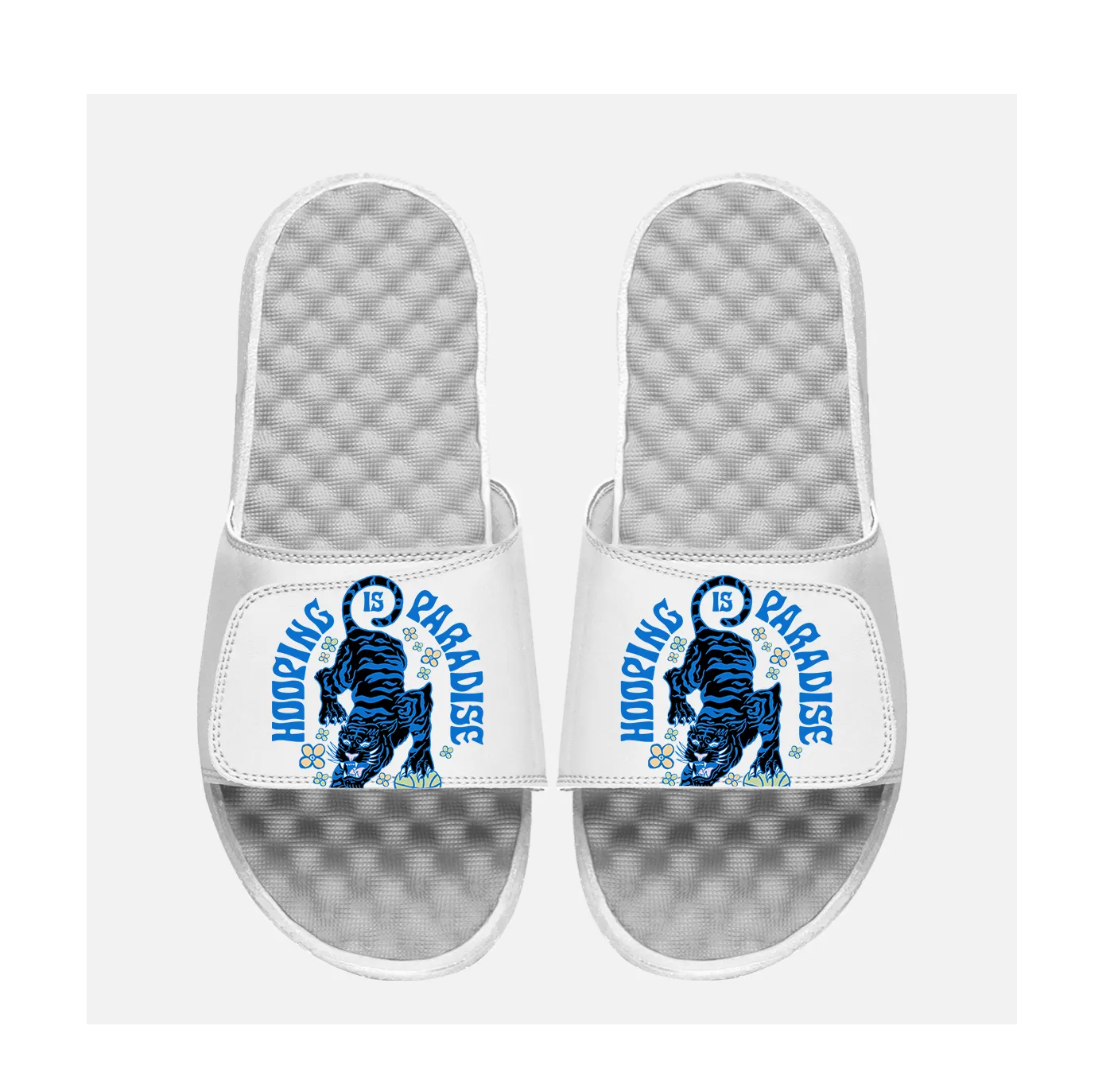 OT Tiger Script Kids Slides