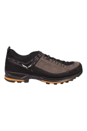 Salewa Men's MTN Trainer 2 Shoe