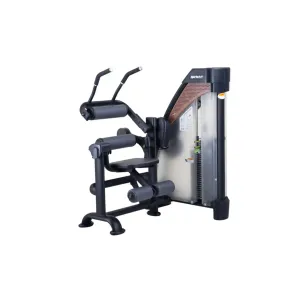 SportsArt N931 Status Abdominal Crunch