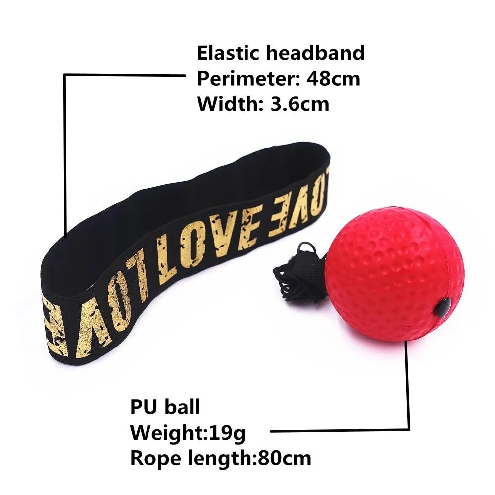 Workout Punching Ball